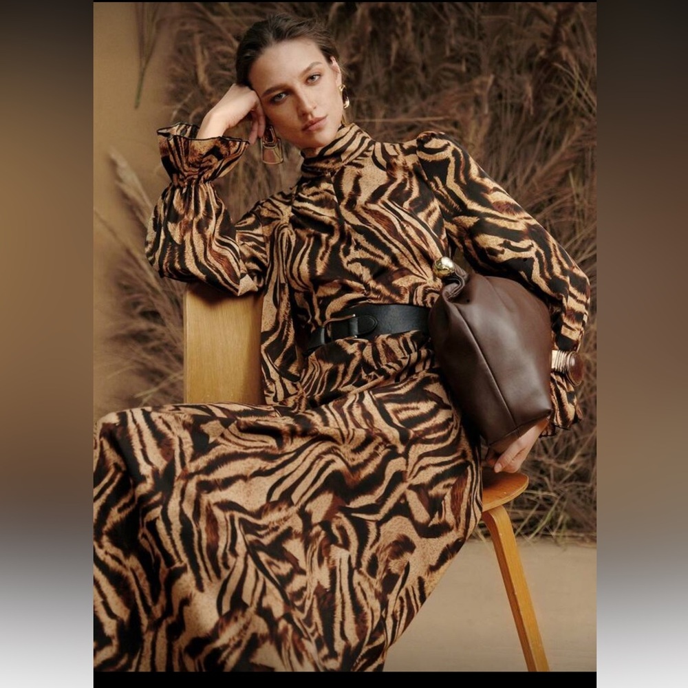 Animal Print Long Sleeve Dress